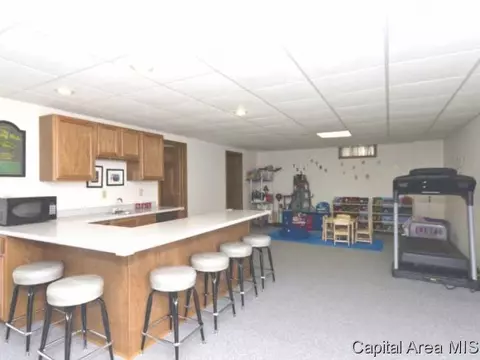 2308 Mallard Pointe Ct, Springfield, IL 62712 photo 20