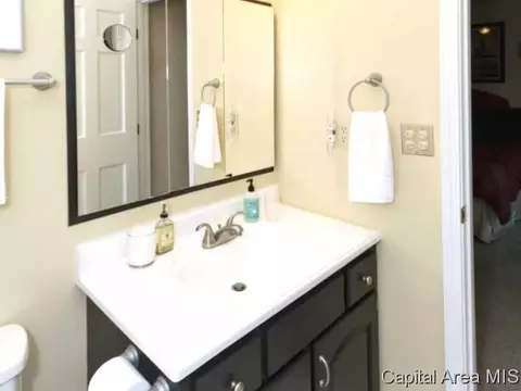 2308 Mallard Pointe Ct, Springfield, IL 62712 photo 16