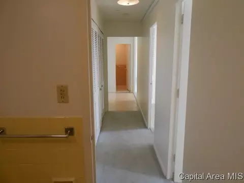 718 S 7th #903, Springfield, IL 62703 photo 7