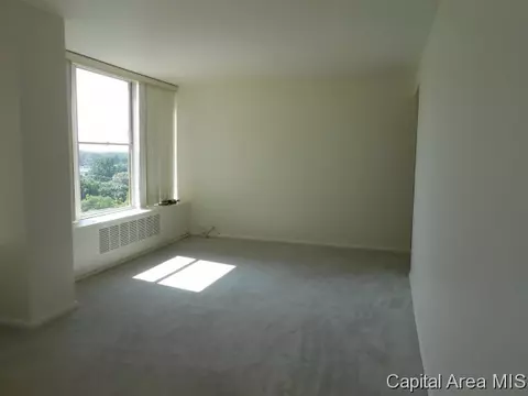 718 S 7th #903, Springfield, IL 62703 photo 15