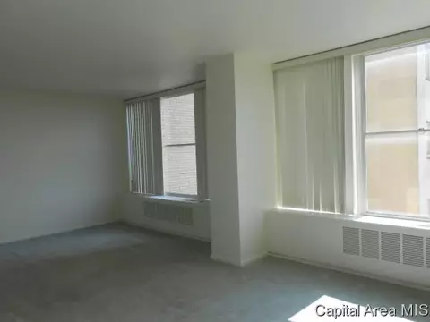 718 S 7th #903, Springfield, IL 62703 photo 6
