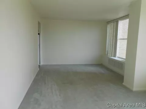 718 S 7th #903, Springfield, IL 62703 photo 9