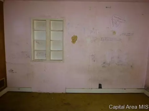 1144 N 7th, Springfield, IL 62702 photo 8