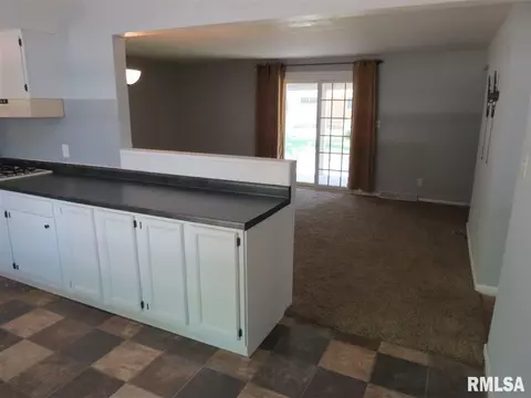 3127 S 1st St, Springfield, IL 62703 photo 2