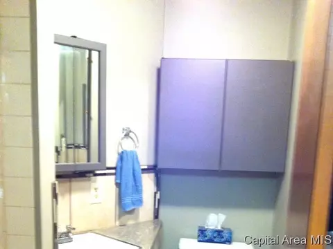 3352 Rita, Springfield, IL 62703 photo 19