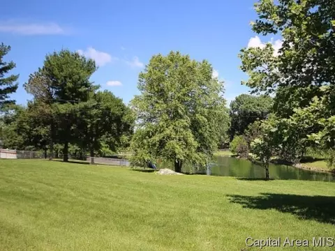 7324 Oak Crst, Riverton, IL 62561 photo 23