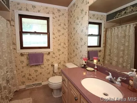 7324 Oak Crst, Riverton, IL 62561 photo 9