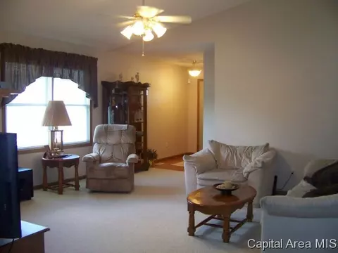 4417 Clearwater Ln, Springfield, IL 62703 photo 5