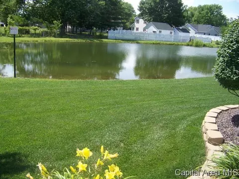 4417 Clearwater Ln, Springfield, IL 62703 photo 20