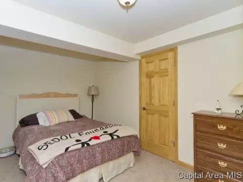 444 Elle Ct, Springfield, IL 62711 photo 14