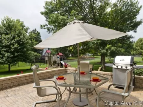 508 Teal Dr, Chatham, IL 62629 photo 22
