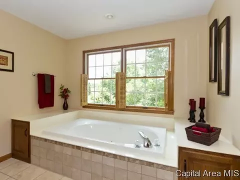 508 Teal Dr, Chatham, IL 62629 photo 15