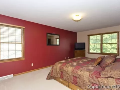 508 Teal Dr, Chatham, IL 62629 photo 13