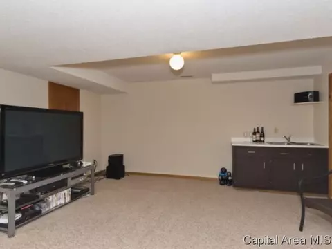 508 Teal Dr, Chatham, IL 62629 photo 19