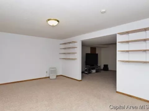 508 Teal Dr, Chatham, IL 62629 photo 21