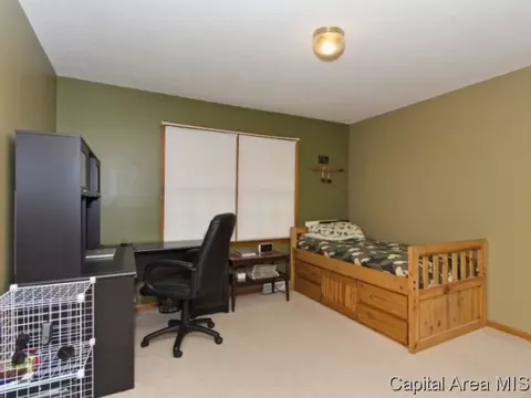 508 Teal Dr, Chatham, IL 62629 photo 18