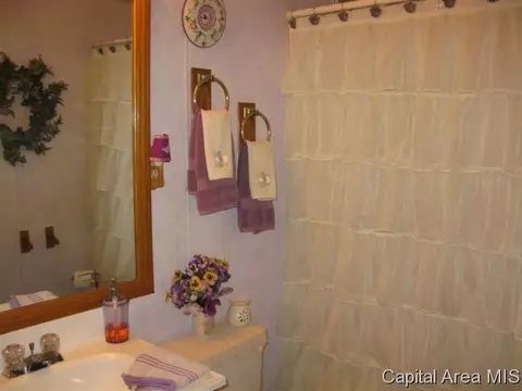 1817 Greentree Rd, Springfield, IL 62703 photo 13