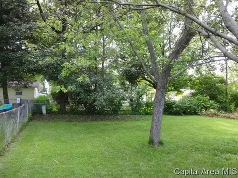 46 Coachlight Ct, Springfield, IL 62703 photo 24