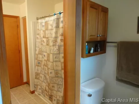 46 Coachlight Ct, Springfield, IL 62703 photo 15