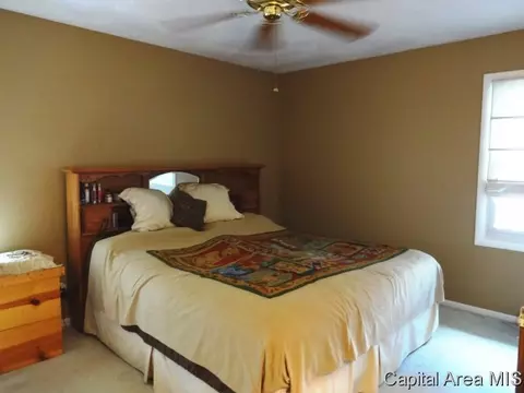 46 Coachlight Ct, Springfield, IL 62703 photo 16