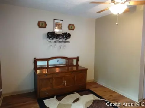 46 Coachlight Ct, Springfield, IL 62703 photo 13