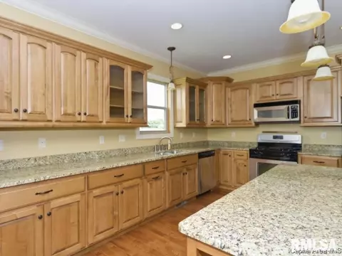 200 Marblestone Dr, Chatham, IL 62629 photo 4