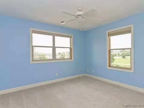 200 Marblestone Dr, Chatham, IL 62629 photo 12