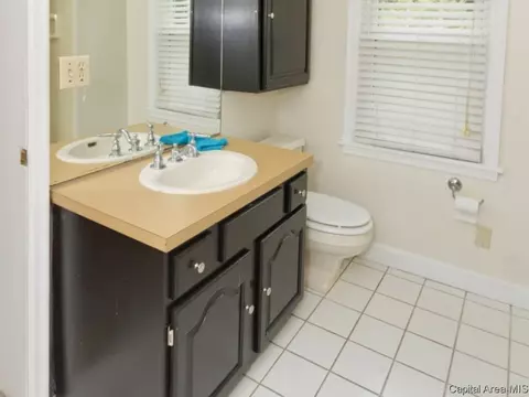 900 S Park Ave, Springfield, IL 62704 photo 3