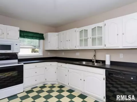 900 S Park Ave, Springfield, IL 62704 photo 15