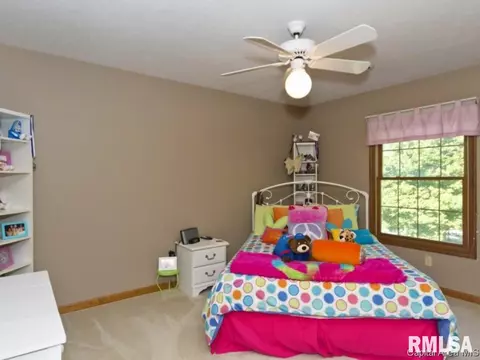 1617 Windycrest Dr, Springfield, IL 62704 photo 18