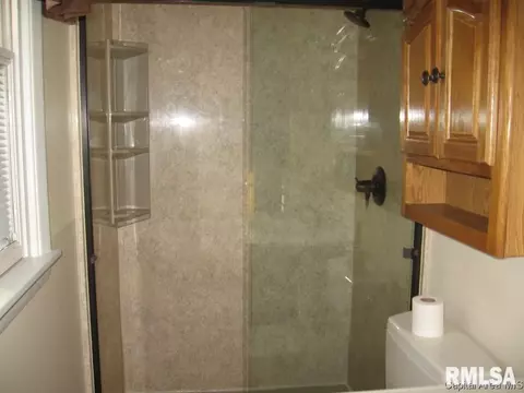 65 Foresters Ln, Springfield, IL 62704 photo 20