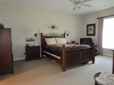 66 Palomino, Springfield, IL 62702 photo 14