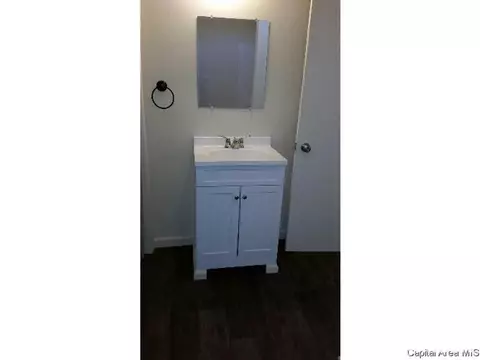 102 E Spruce St, Chatham, IL 62629 photo 9
