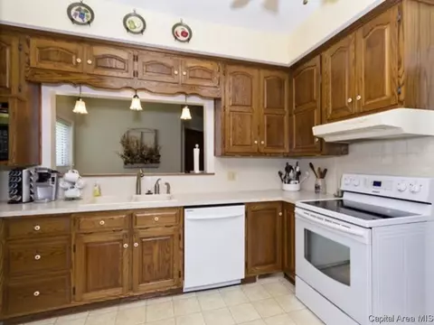 1825 Dial Ct, Springfield, IL 62704 photo 7