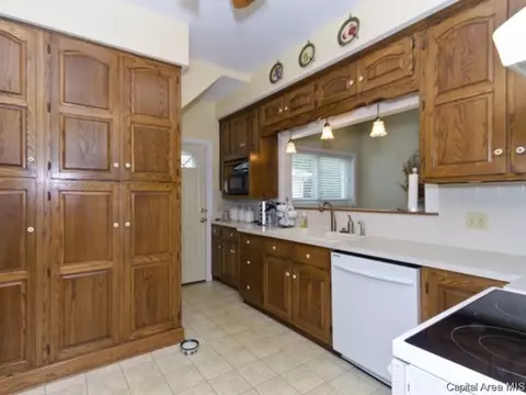 1825 Dial Ct, Springfield, IL 62704 photo 9