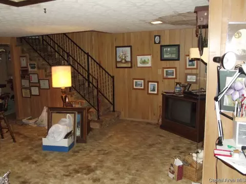 40 Crestview, Chatham, IL 62629 photo 12