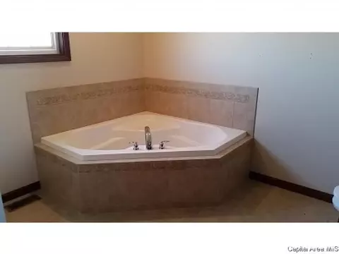 620 Willows Ave, Chatham, IL 62629 photo 8