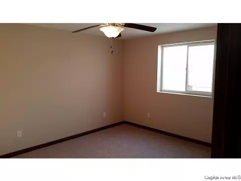 620 Willows Ave, Chatham, IL 62629 photo 10