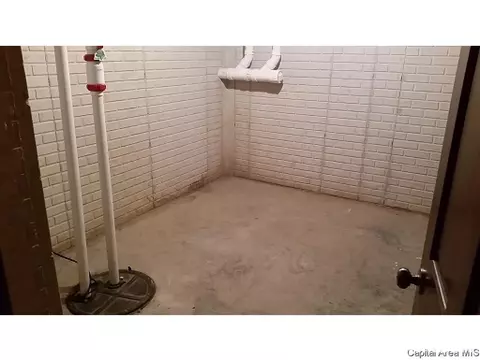 620 Willows Ave, Chatham, IL 62629 photo 16