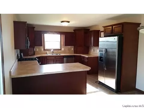 620 Willows Ave, Chatham, IL 62629 photo 5