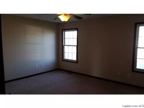 620 Willows Ave, Chatham, IL 62629 photo 9
