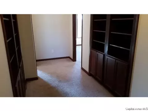 620 Willows Ave, Chatham, IL 62629 photo 4