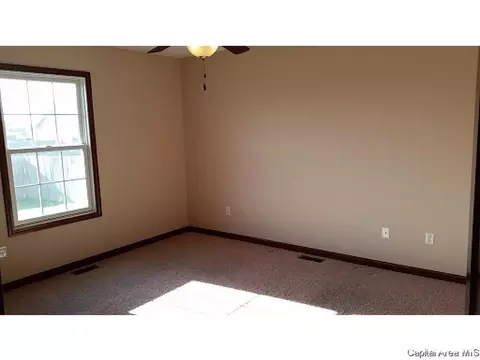 620 Willows Ave, Chatham, IL 62629 photo 11