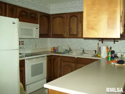 22 N Villa Grv, Springfield, IL 62712 photo 14
