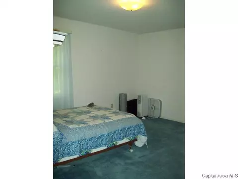22 N Villa Grv, Springfield, IL 62712 photo 12