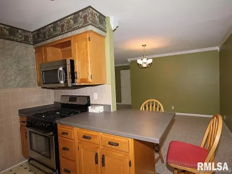 1309 S Douglas #D, Springfield, IL 62704 photo 7