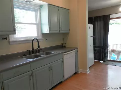1704 S Pasfield St, Springfield, IL 62704 photo 8
