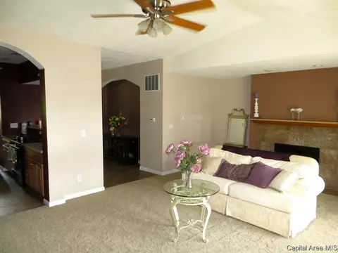 2919 S Meadowbrook #1, Springfield, IL 62711 photo 2
