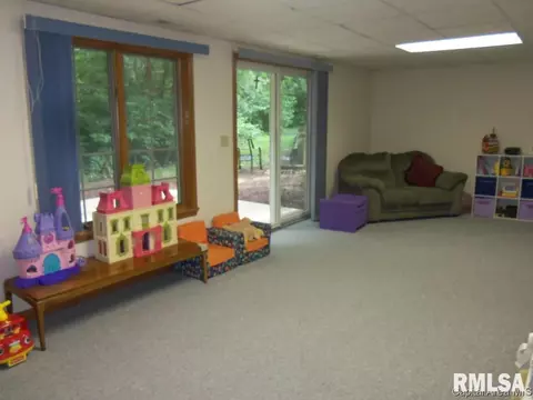 4020 Old Mill Ln, Springfield, IL 62707 photo 20