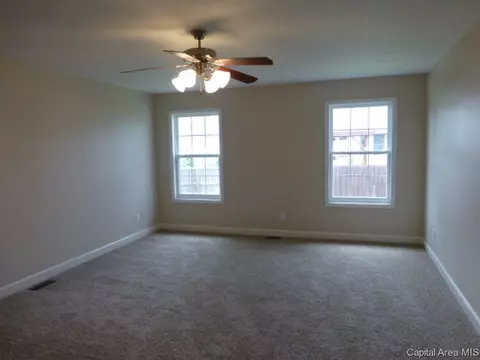 2725 Steiler Pl, Springfield, IL 62703 photo 9